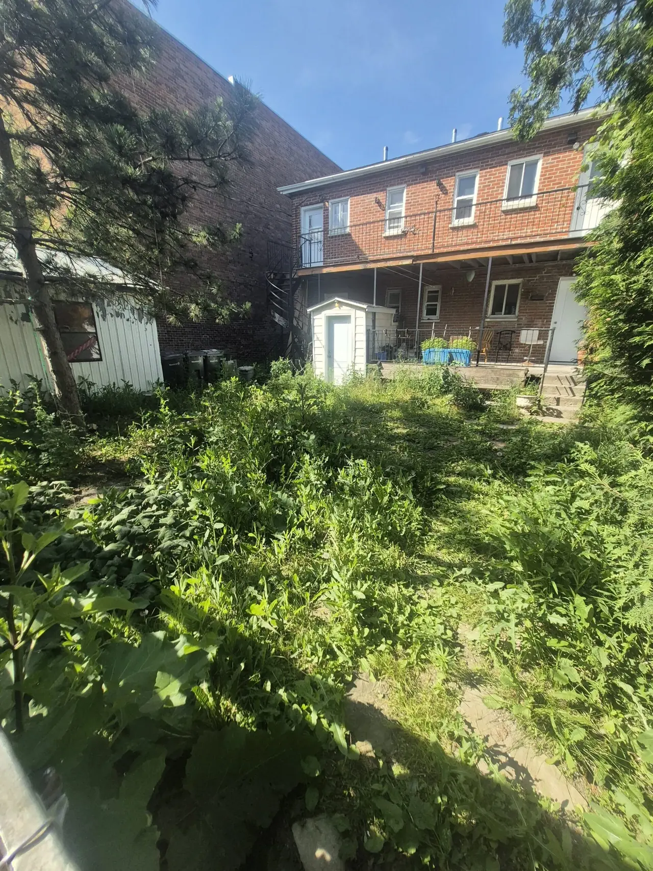 Réalisation de pelouse — vue 4