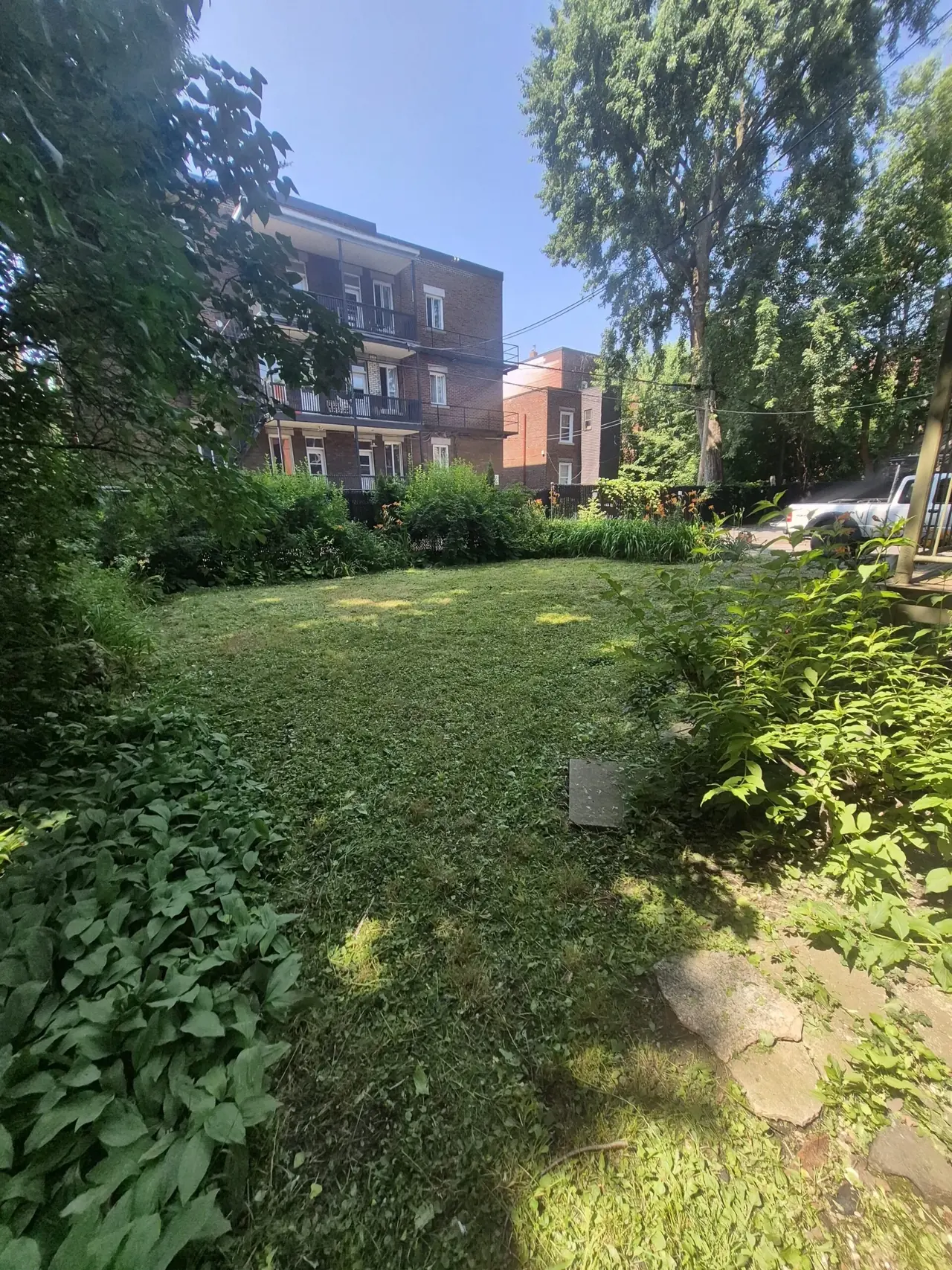 Réalisation de pelouse — vue 7