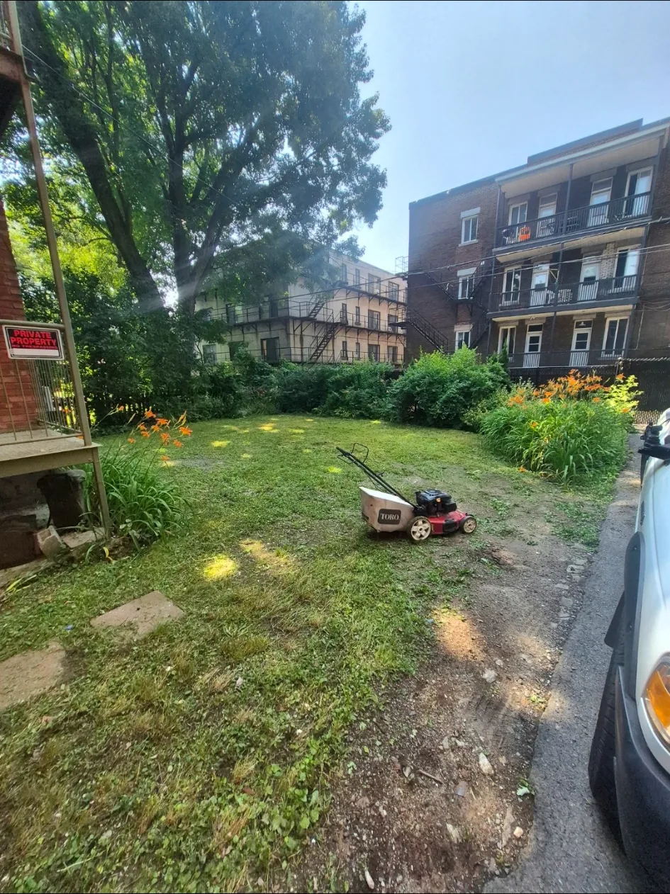 Terrain résidentiel entretenu en milieu urbain