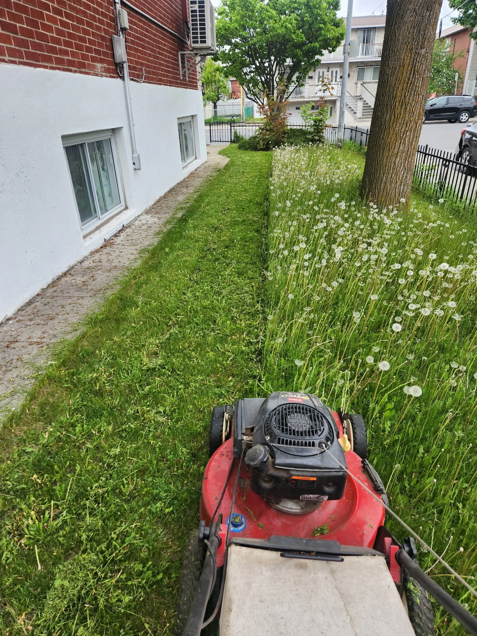 Tonte de pelouse résidentielle